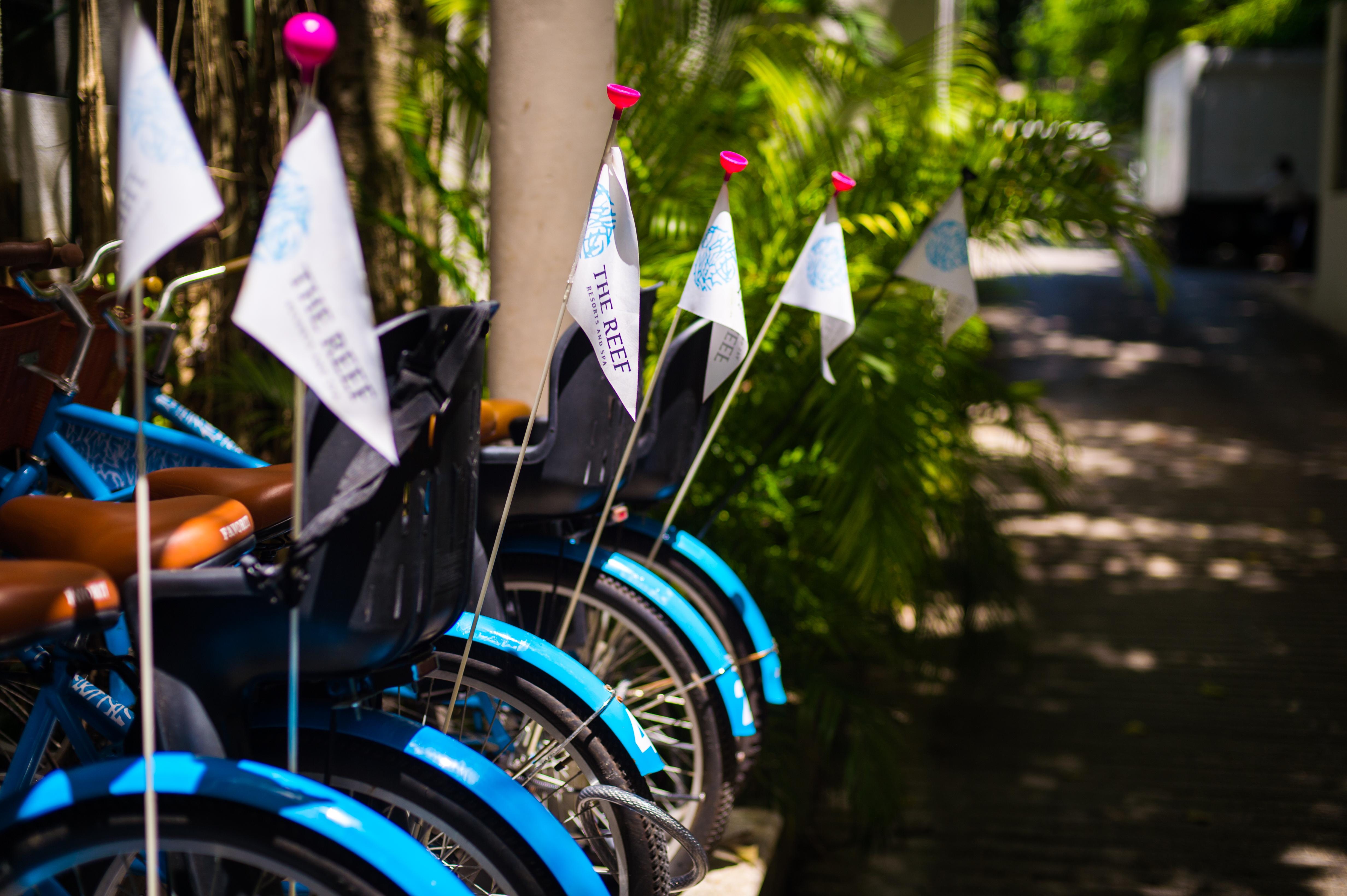 The Reef Playacar Beach Resort & Spa Playa del Carmen Exterior foto
