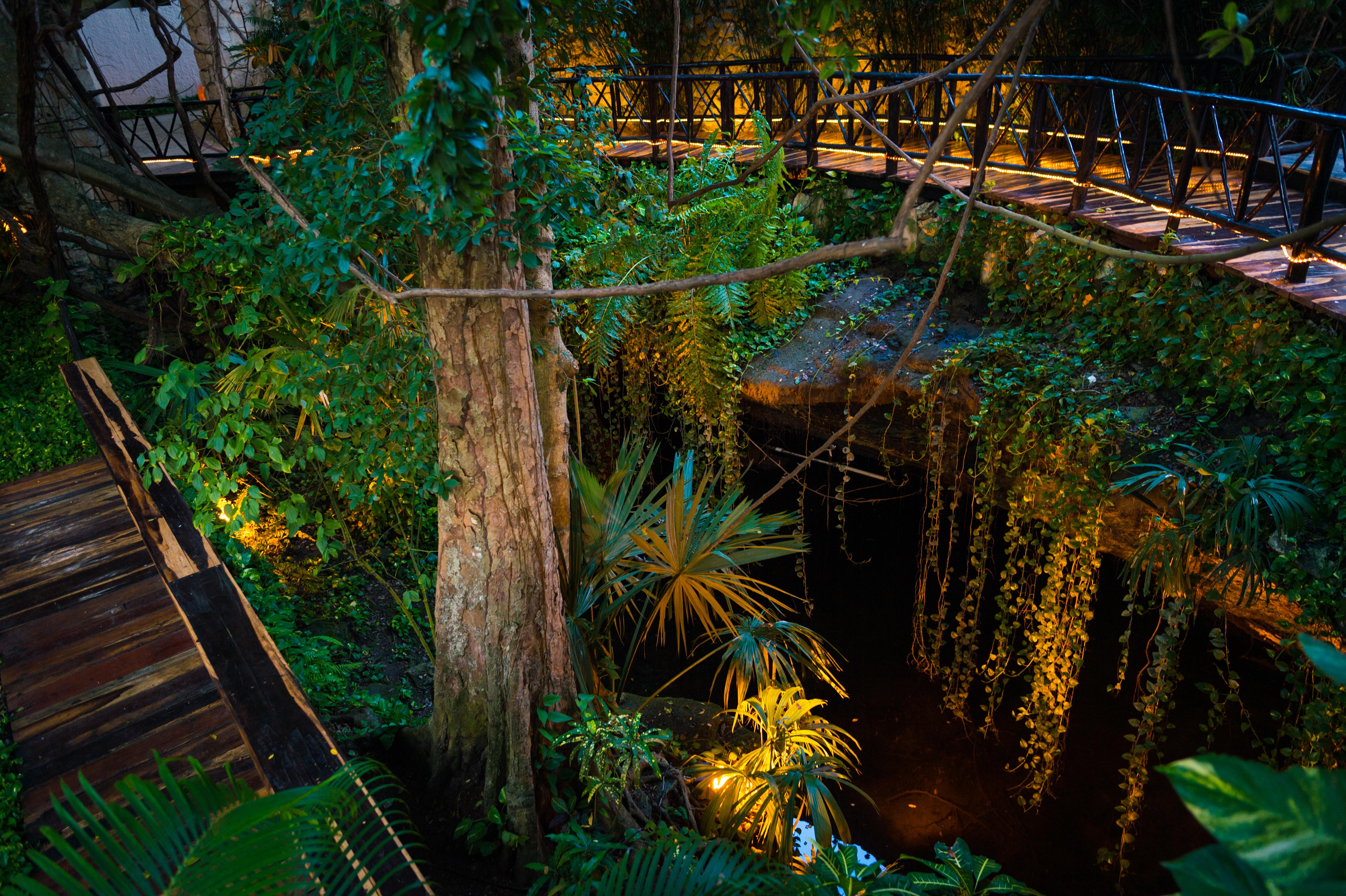 The Reef Playacar Beach Resort & Spa Playa del Carmen Exterior foto